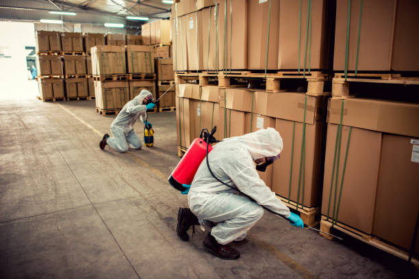 Best Exterminator Services  in Holstein, IA