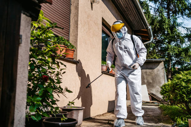 Professional Pest Control in Holstein, IA