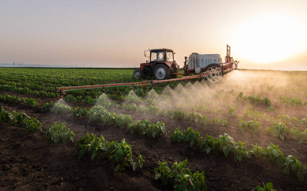 Best Pest Control Near Me  in Holstein, IA