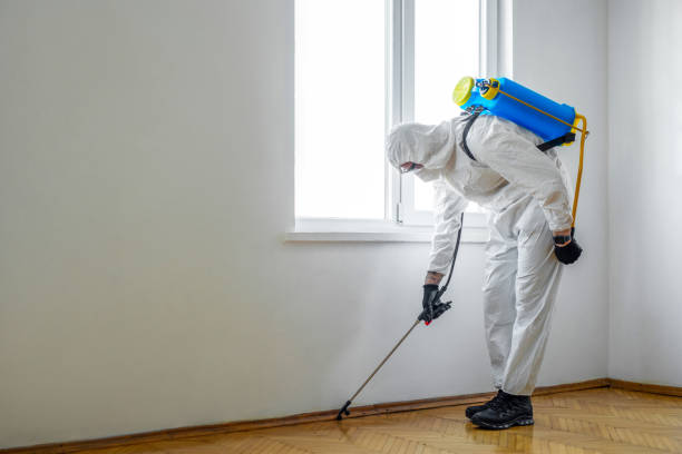Best Pest Prevention Services  in Holstein, IA