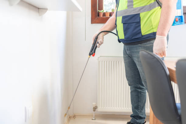 Professional Pest Control in Holstein, IA