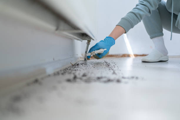 Best Best Pest Control Companies  in Holstein, IA